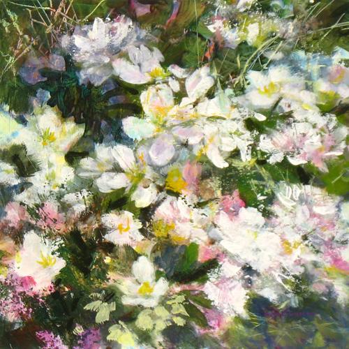 Apple 12 x 12 inches