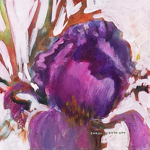 Nepean Iris  10 x10 inches